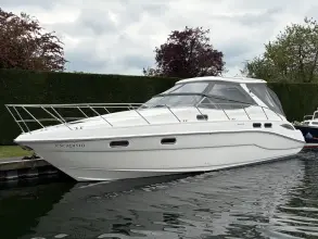Thumbnail von Sealine S41 New Arrival