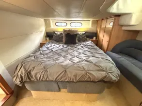 Thumbnail von Sealine S41 New Arrival