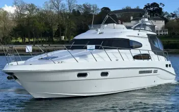 Thumbnail von Sealine T46