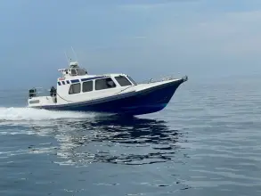 Redbay Stormforce 11 Cabin
