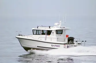 Sargo 28 Posedion
