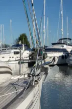 Thumbnail von Southerly 42 RST SAVING GRACE II