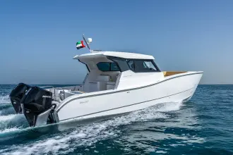 SilverCat 34 HT