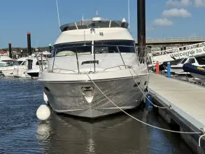 Thumbnail von Sealine F425 Evolution
