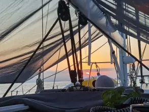 Thumbnail von Beneteau Oceanis Clipper 510