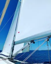 Thumbnail von Bavaria Cruiser 46