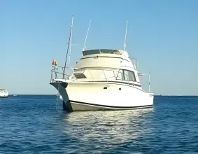 Thumbnail von Bertram 38 Sport Fish MK 3