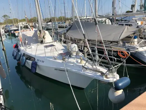 Reinke Hydra 49