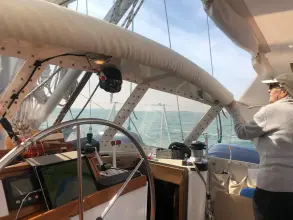 Thumbnail von Reinke Hydra 49