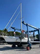 Thumbnail von Reinke Hydra 49