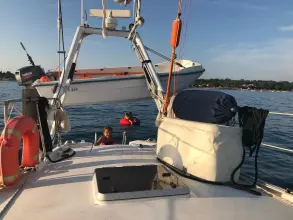 Thumbnail von Reinke Hydra 49