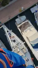 Thumbnail von Reinke Hydra 49