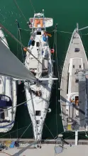 Thumbnail von Reinke Hydra 49