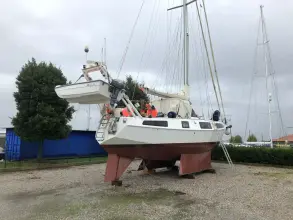 Thumbnail von Reinke Hydra 49