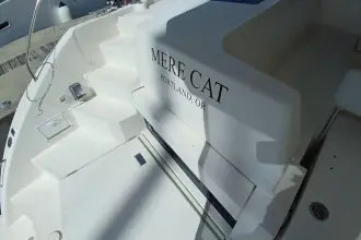 Thumbnail von Leopard 45 Mere Cat