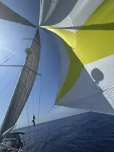 Thumbnail von Bavaria Vision 46