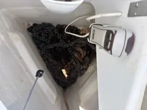 Thumbnail von Jeanneau Sun Odyssey 440 HYPNAUTIZED