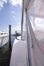 Thumbnail von Out Island 38 Express NO BONES ABOUT IT
