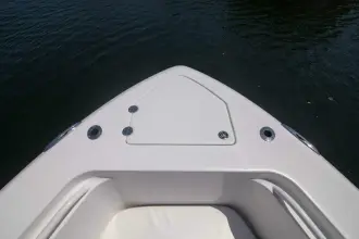 Thumbnail von Everglades 350 Cc Outta Hand