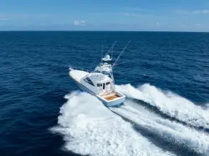 Thumbnail von Viking 54 Sports Tower In-Stock 2025 Viking 54ST 54-912