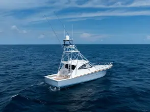 Thumbnail von Viking 54 Sports Tower In-Stock 2025 Viking 54ST 54-912