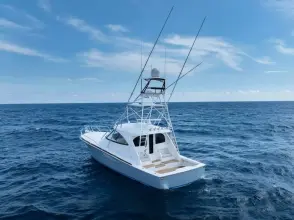 Thumbnail von Viking 54 Sports Tower In-Stock 2025 Viking 54ST 54-912