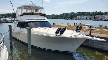 Viking 45 Convertible