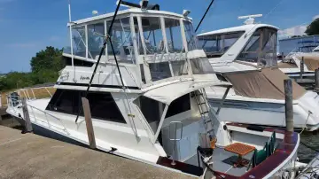 Thumbnail von Viking 45 Convertible