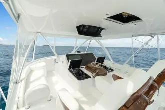Thumbnail von Viking 48 Convertible In-Stock 2025 Viking 58C 58-552