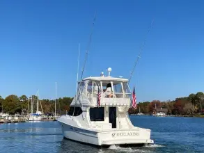 Thumbnail von Viking 50 Convertible