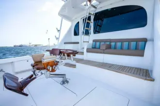 Thumbnail von Viking 66 Convertible No Collars