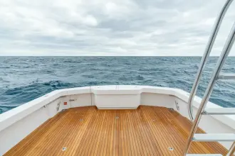 Thumbnail von Viking 46 Bill Fish 2026 Viking 46 BF
