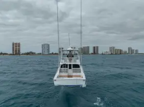 Thumbnail von Viking 46 Bill Fish 2026 Viking 46 BF