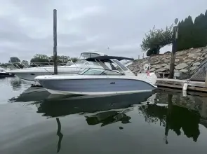 Sea Ray SDX 270 Outboard