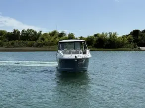 Thumbnail von Sea Ray 320 Sundancer Outboard