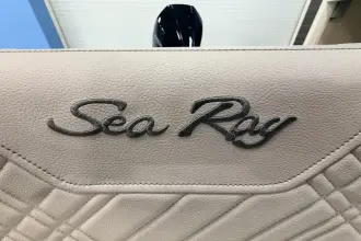 Thumbnail von Sea Ray SDX 250 Outboard