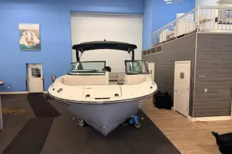 Thumbnail von Sea Ray SDX 250 Outboard