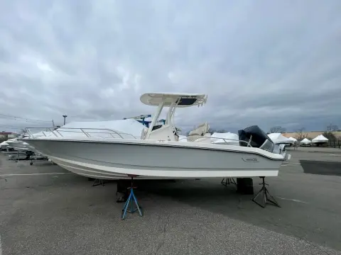 Boston Whaler 250 Dauntless