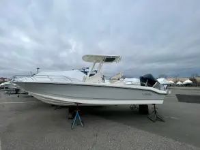 Boston Whaler 250 Dauntless
