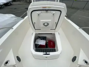 Thumbnail von Boston Whaler 250 Dauntless