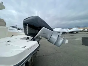 Thumbnail von Boston Whaler 250 Dauntless