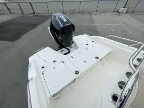 Thumbnail von Boston Whaler 250 Dauntless