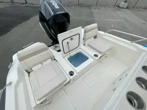 Thumbnail von Boston Whaler 250 Dauntless