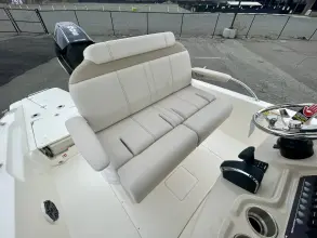 Thumbnail von Boston Whaler 250 Dauntless