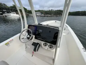 Thumbnail von Boston Whaler 250 Dauntless