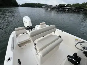 Thumbnail von Boston Whaler 250 Dauntless