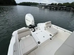 Thumbnail von Boston Whaler 250 Dauntless