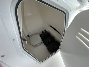 Thumbnail von Boston Whaler 250 Dauntless