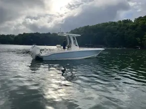Thumbnail von Boston Whaler 250 Dauntless