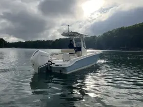 Thumbnail von Boston Whaler 250 Dauntless